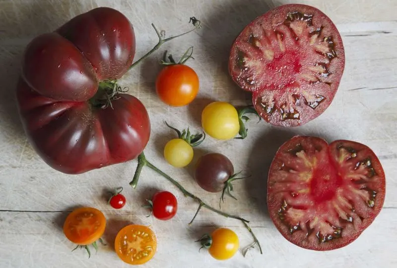 Heirloom Tomatoes