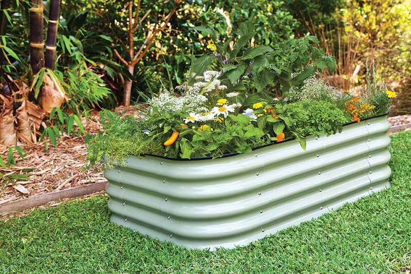 Herb Garden Setup