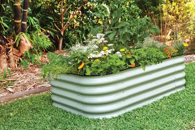 Herb Garden Setup