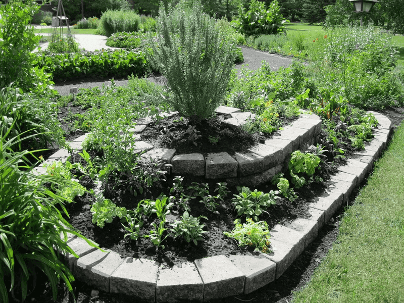 Herb Spiral of Aromas