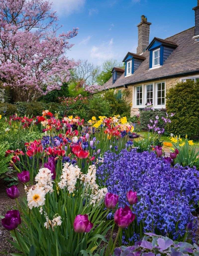 Cottage Garden
