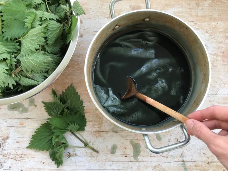 Natural Dye