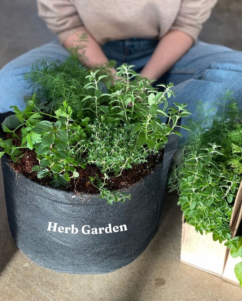 Herbs