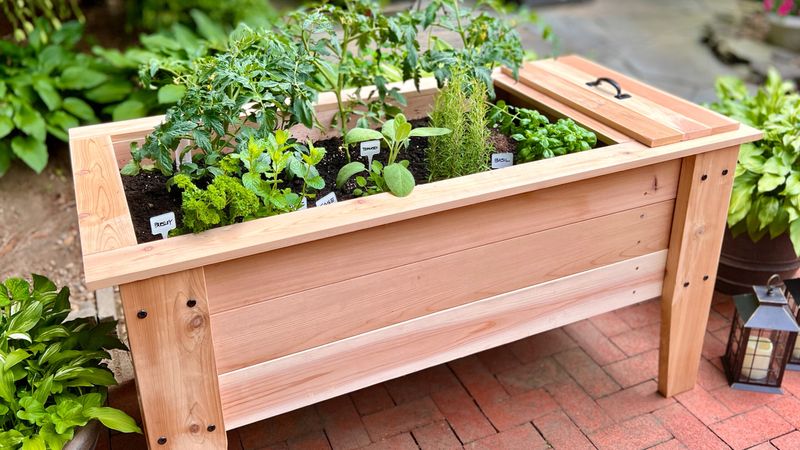 Self-Watering Planter