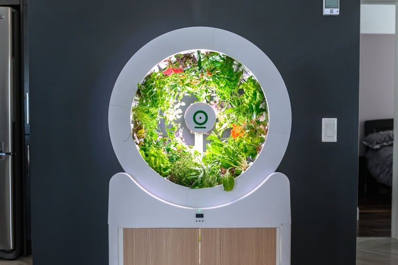 Futuristic Tech Garden