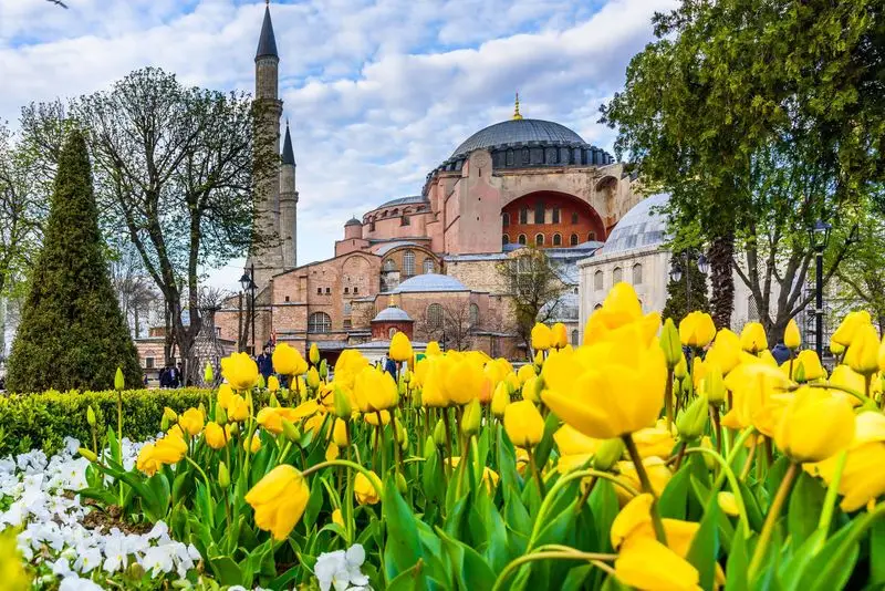 Historic Tulip Fields, Turkey