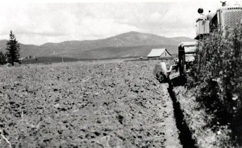 Historical Use in Agriculture