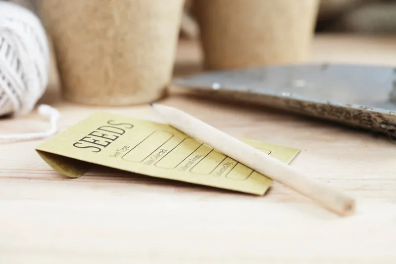 Creating a Family Seed Bank