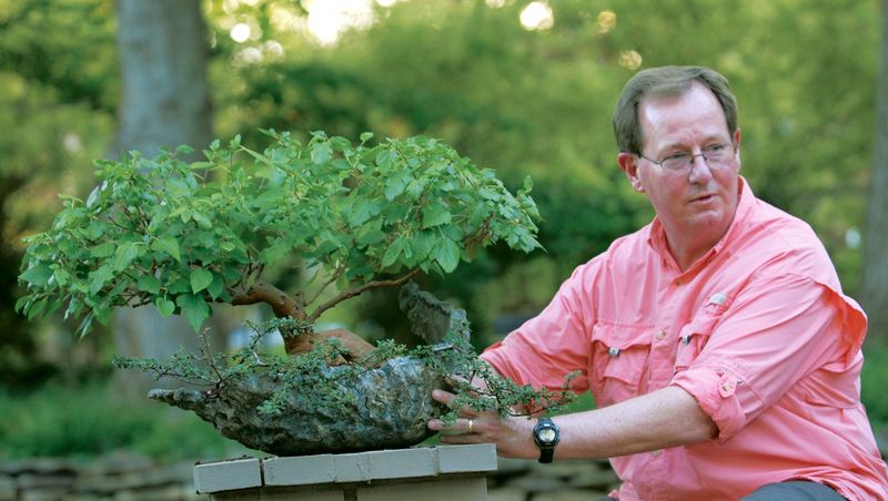 Cultivating Bonsai Trees