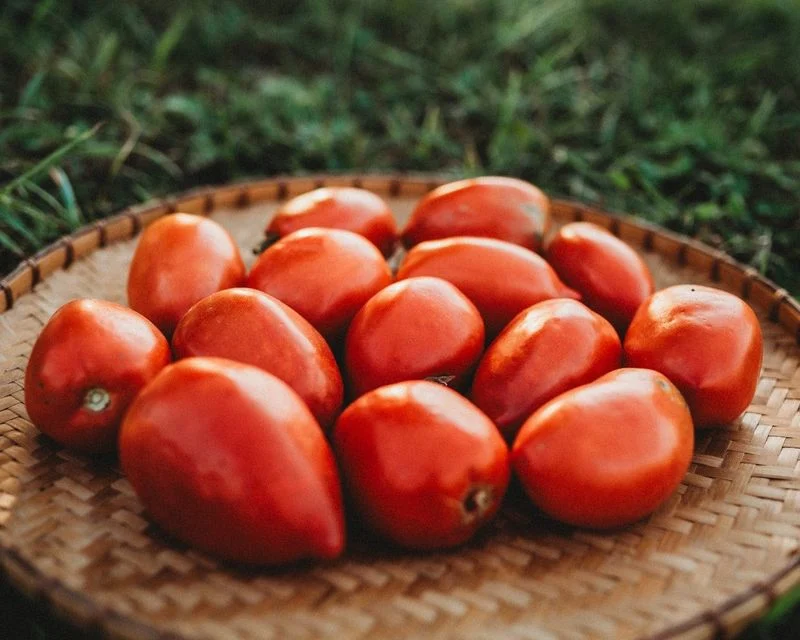 Heirloom Tomato Seeds