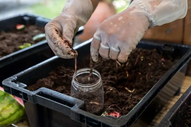 Create a Compost Pile