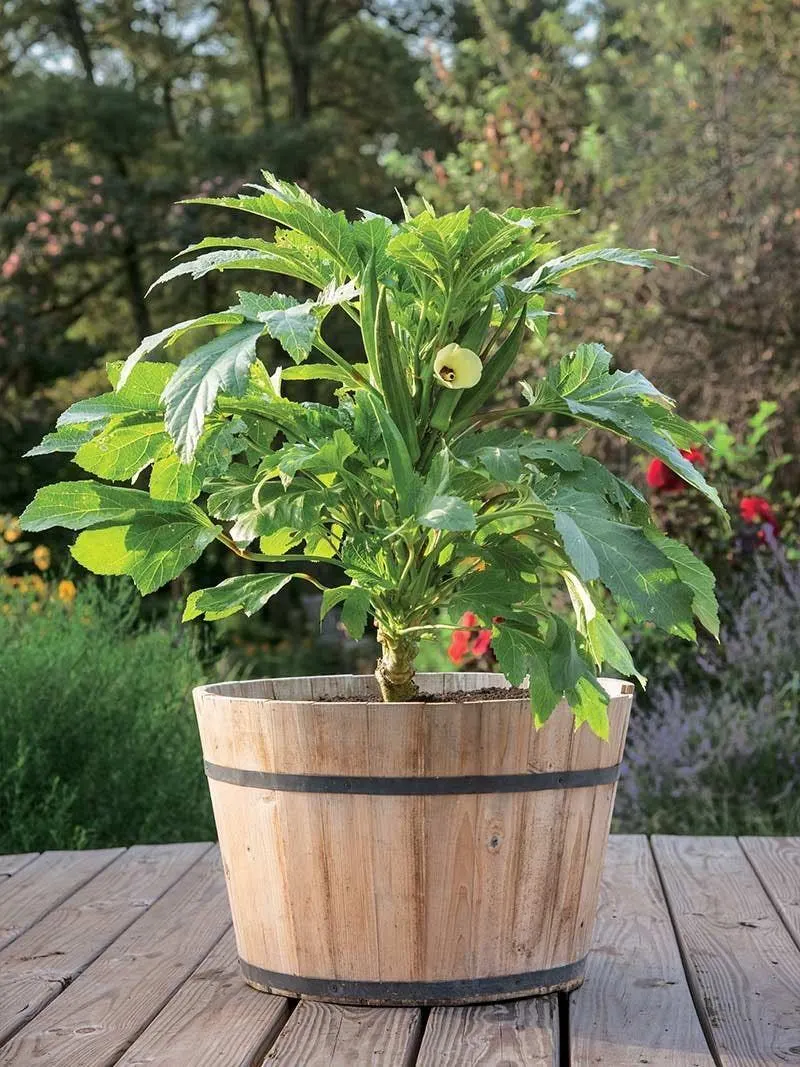 Choose the Right Container