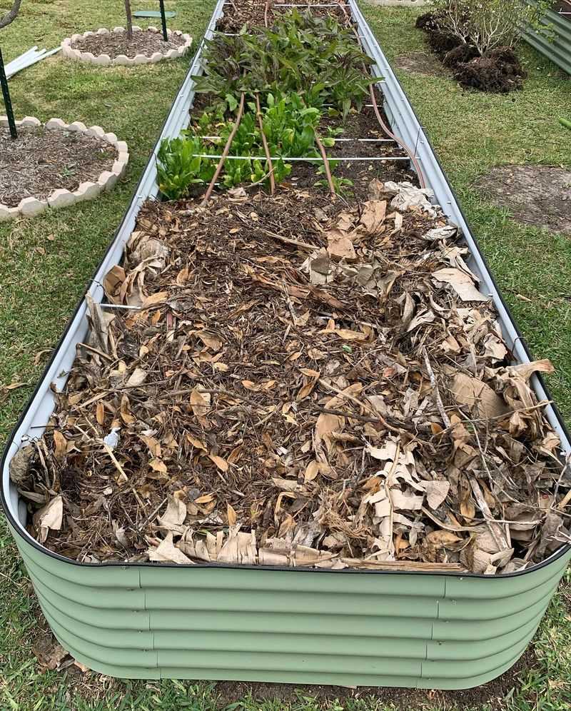 Hügelkultur Beds