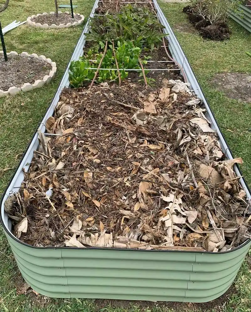 Hügelkultur Beds