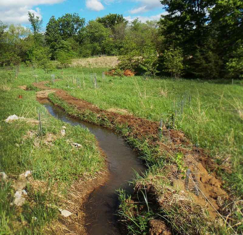 Permaculture Swales