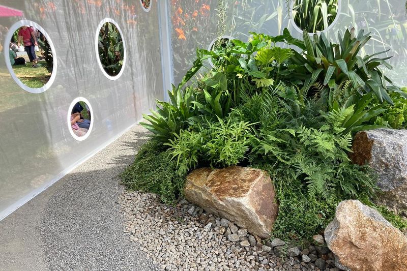 Hydroponic Systems