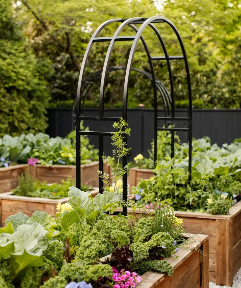 Ignoring Companion Planting