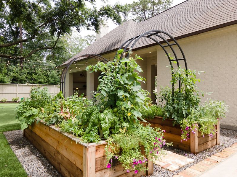 Ignoring Companion Planting