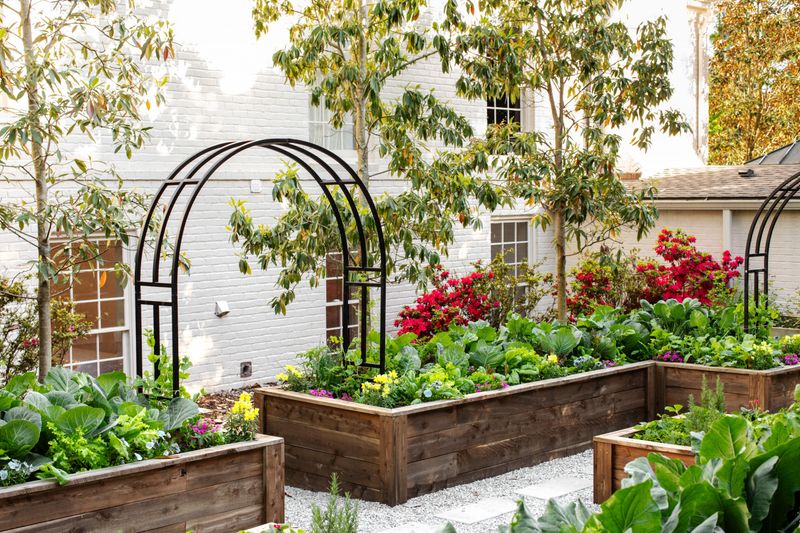 Ignoring Companion Planting