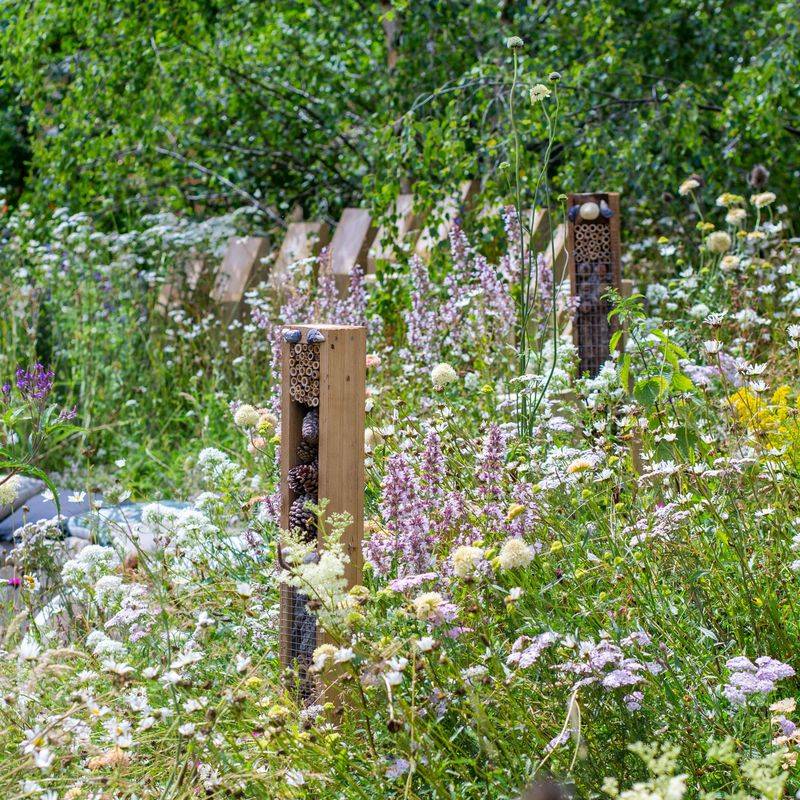 Ignoring Garden Aesthetics