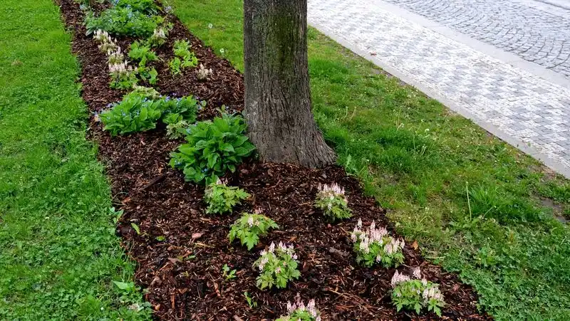 Ignoring Mulch Type