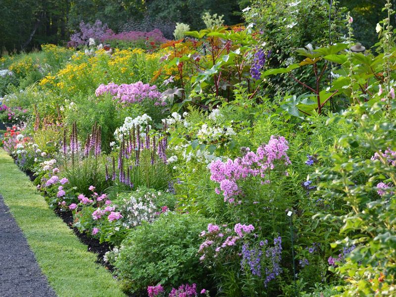 Lack of Seasonal Planning