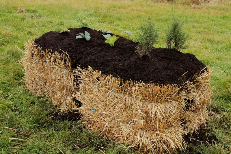 Underestimating Bale Decomposition