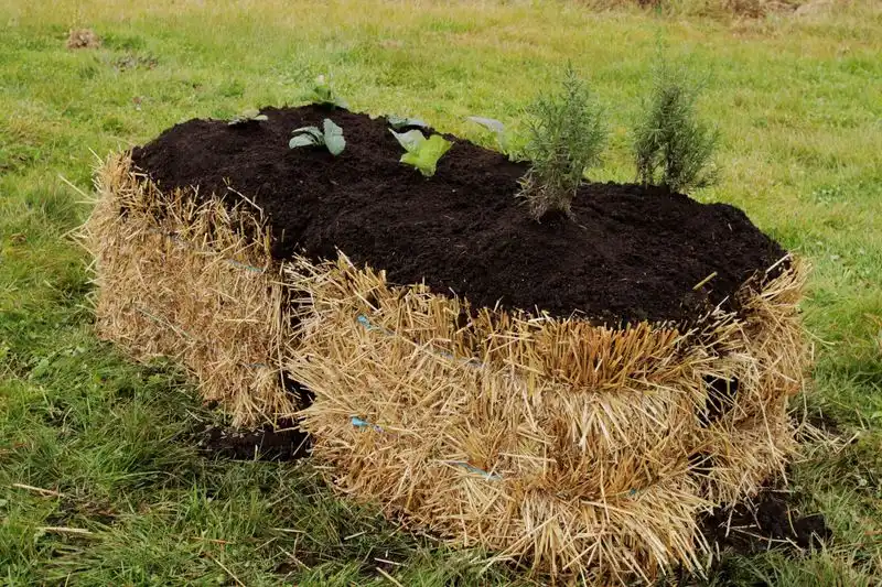 Underestimating Bale Decomposition