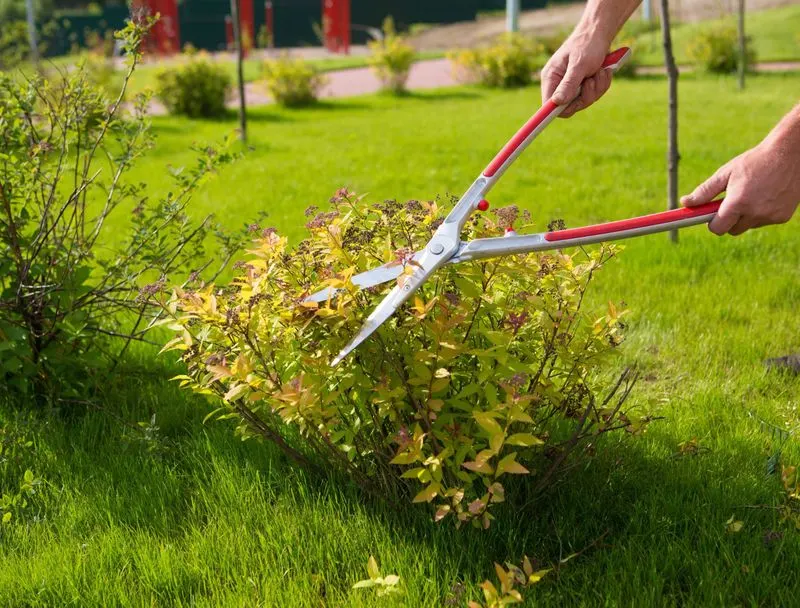 Ignoring Seasonal Cleanups