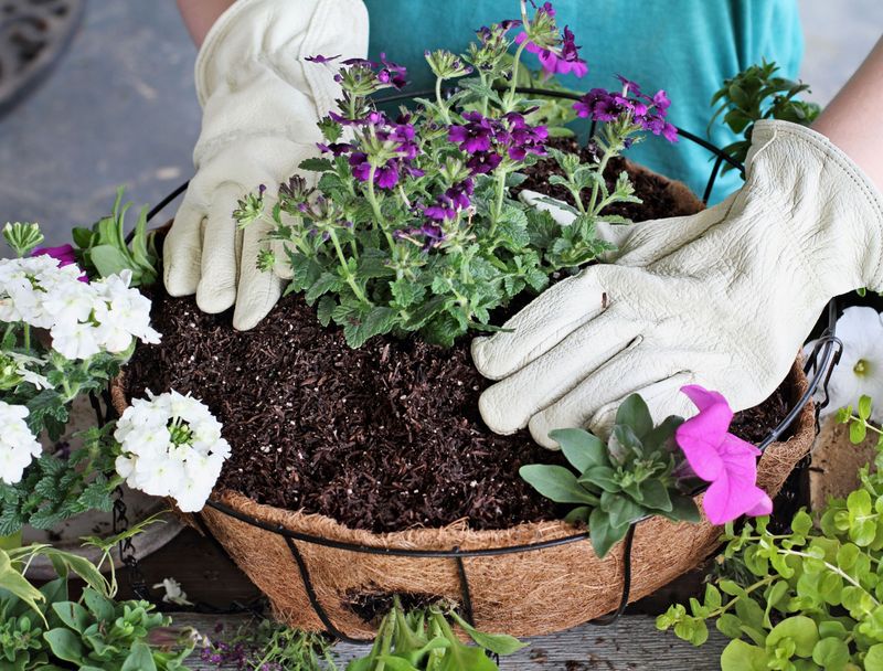 Overcrowding Plants