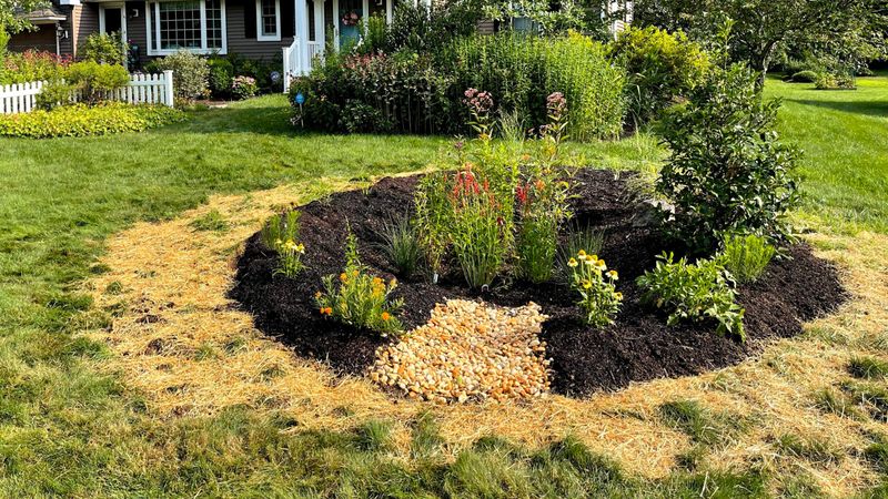 Improved Soil Quality