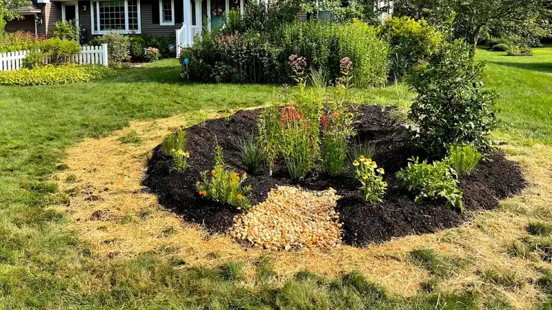 Improved Soil Quality