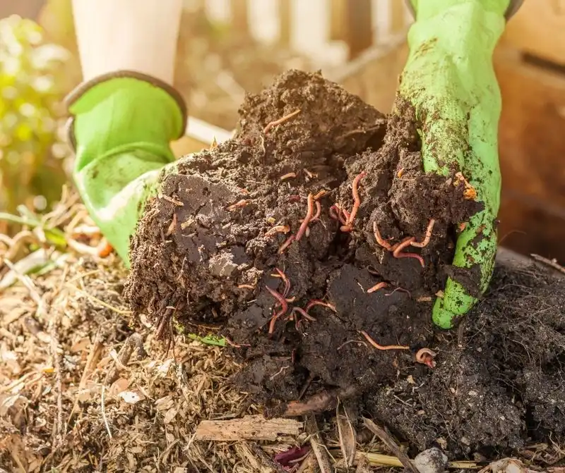 Improved Soil Structure