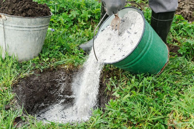 Altering Soil pH with Wood Ash