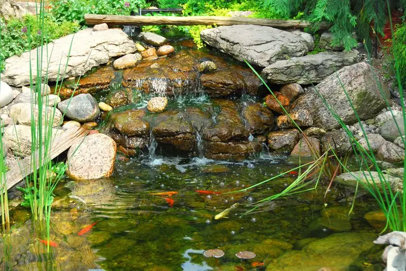Incorporate Fish Wisely