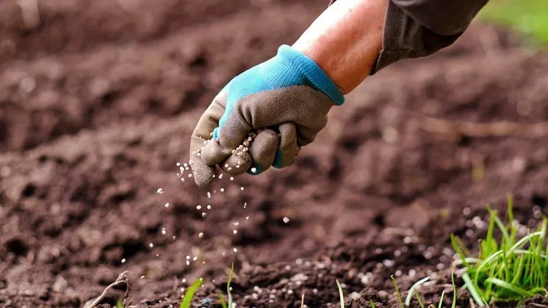 Forgetting to Fertilize