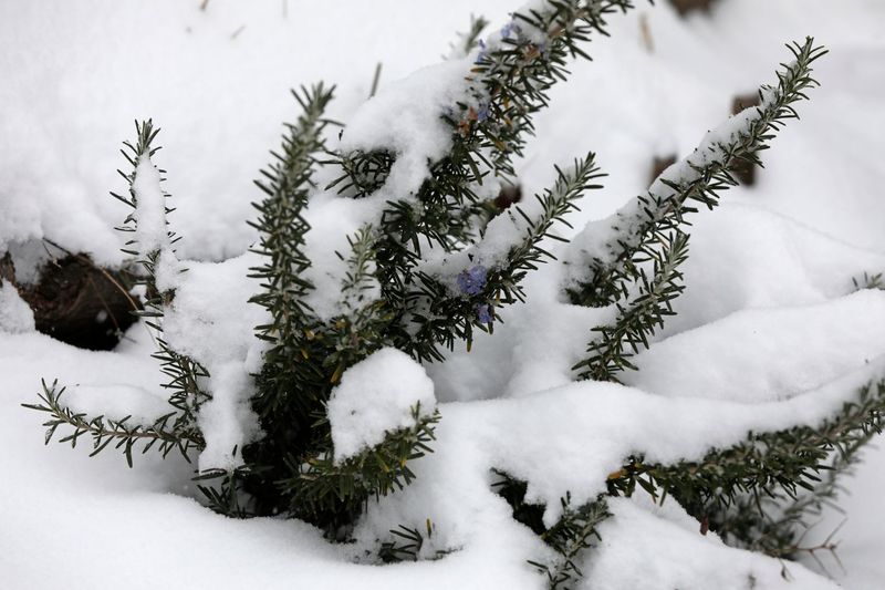 Cold Weather Exposure