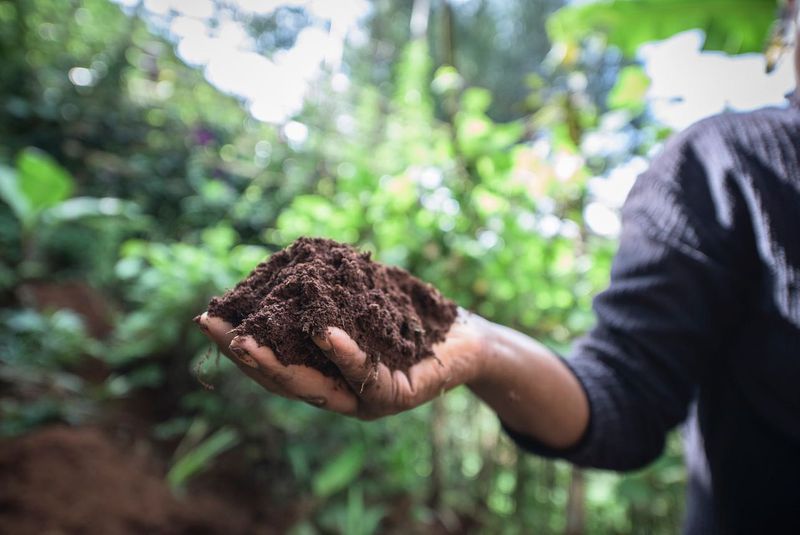 Increased Biodiversity