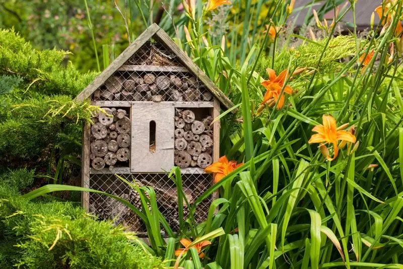 Encourage Nearby Foraging