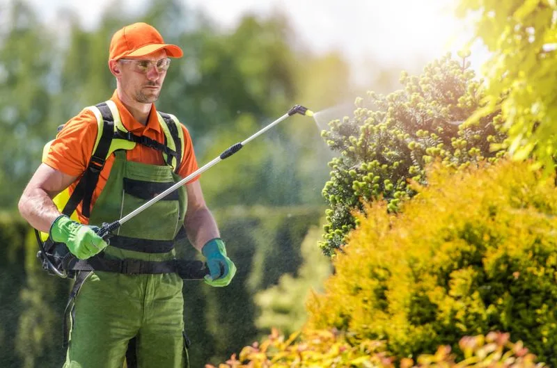 Inspect for Pests