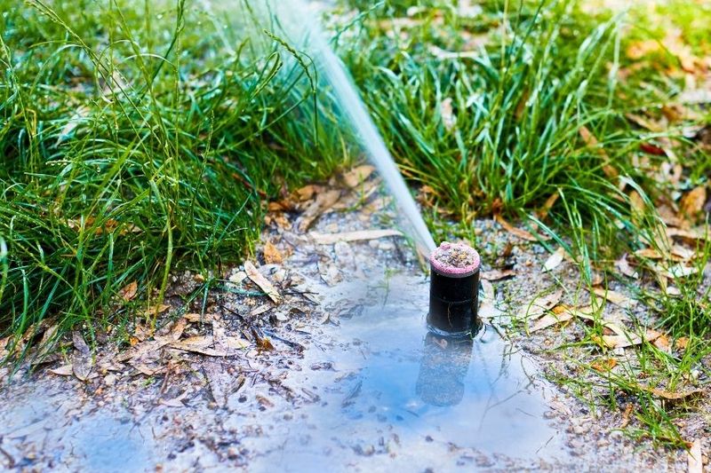 Inspecting Irrigation Systems
