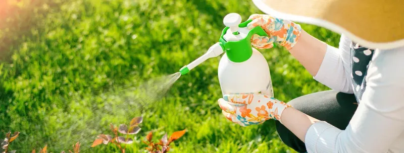 Add Organic Pest Control