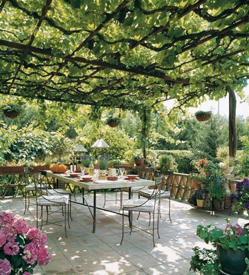 Create Shade Structures