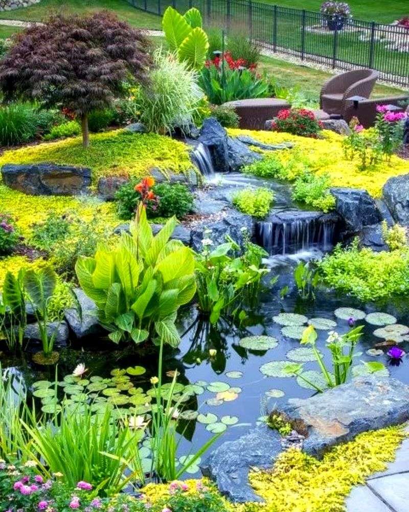 Install a Wildlife Pond
