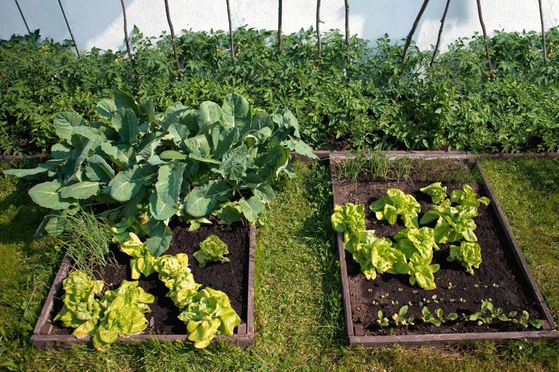 Integrated Pest Management