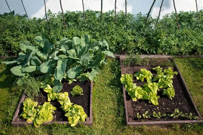 Integrated Pest Management