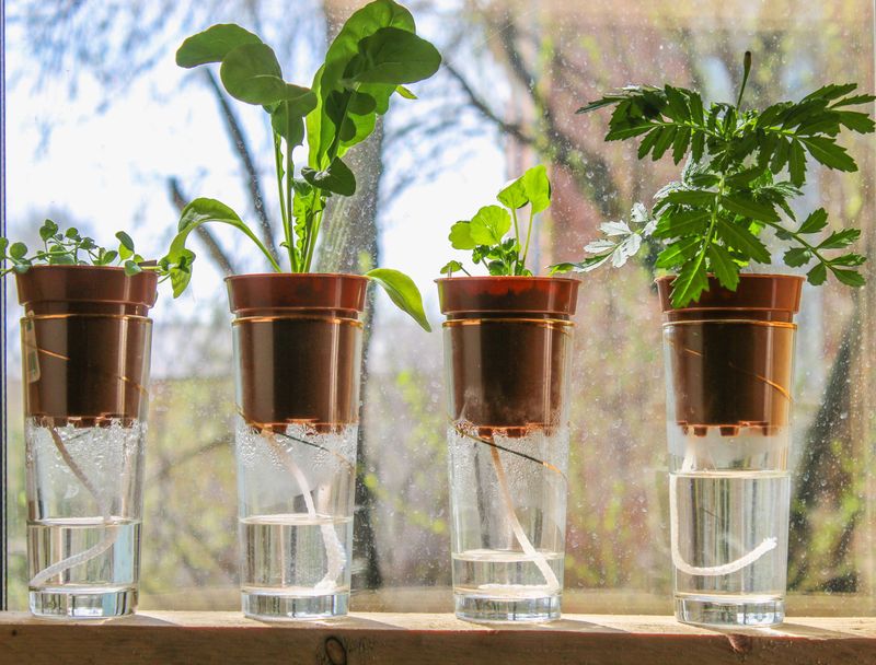 The Challenge of Self-Watering Planters