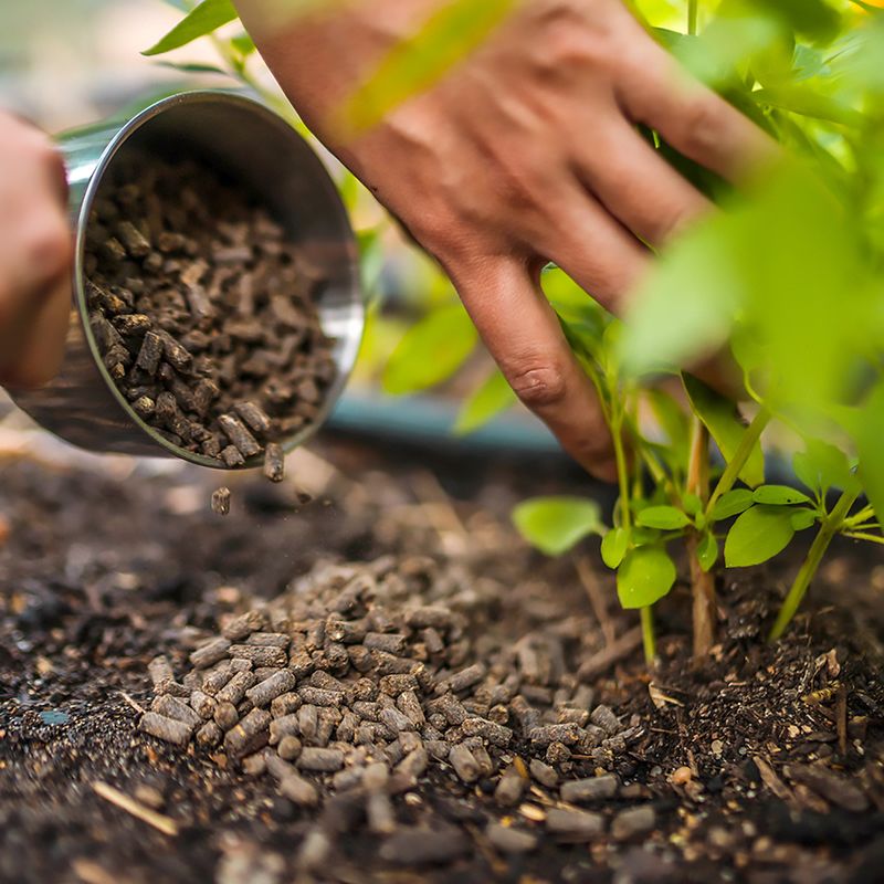 Use Slow-Release Fertilizers