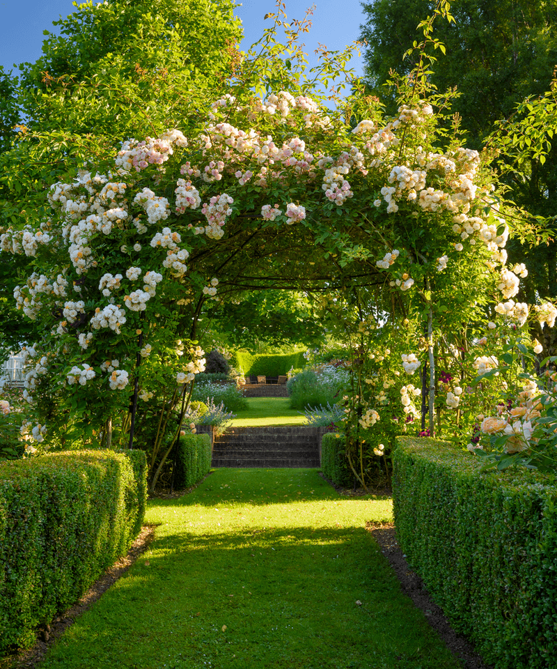 Charming Garden Arch