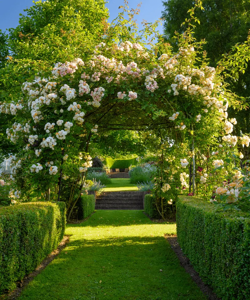 Charming Garden Arch